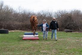 LR-WRF 0402026 Retreat-3532